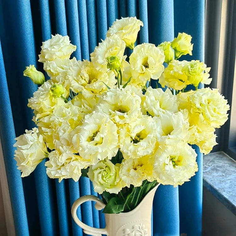 🔥Последен ден на продажба💝Eustoma Thornless Rose💐Семена от лизиантус