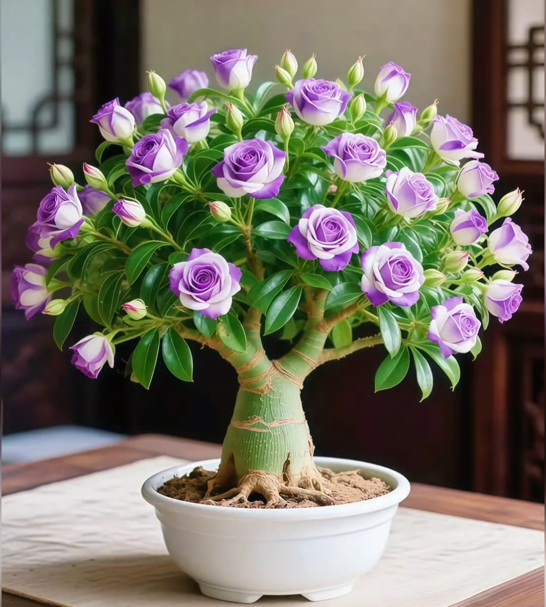 🌵 Пустинна роза – екзотични цветя, естествена красота! 🌺✨