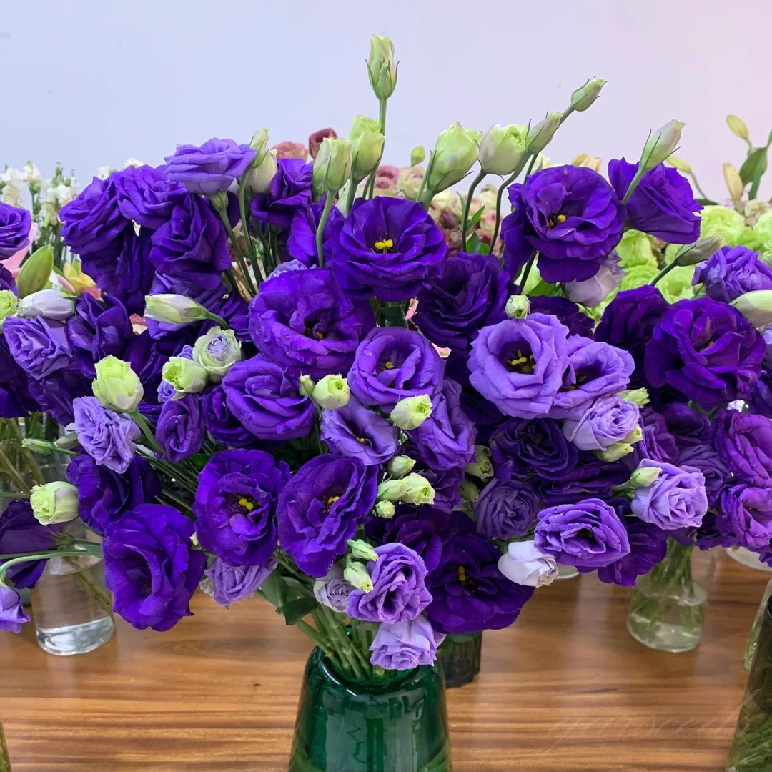 🔥Последен ден на продажба💝Eustoma Thornless Rose💐Семена от лизиантус