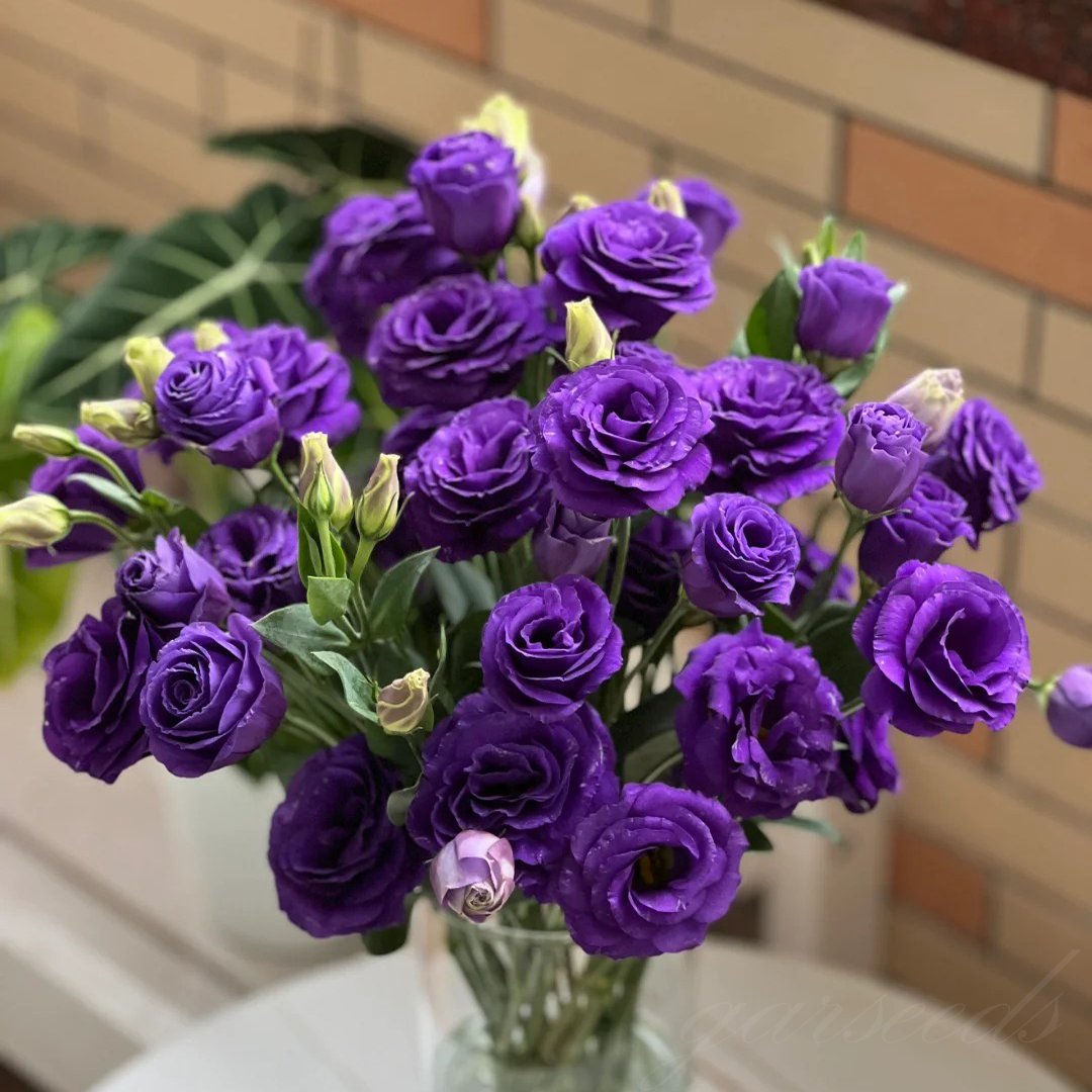 🔥Последен ден на продажба💝Eustoma Thornless Rose💐Семена от лизиантус