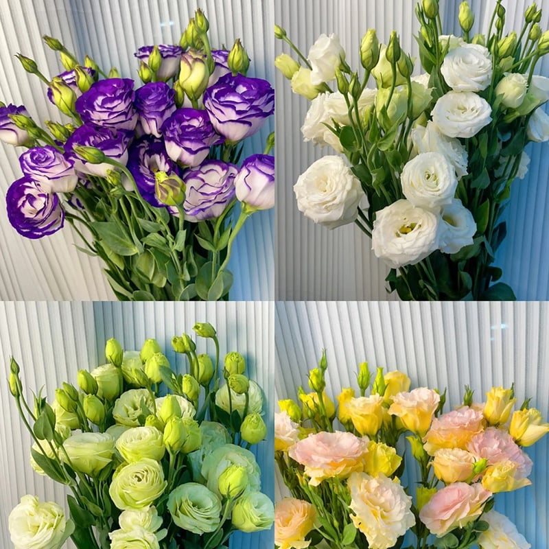 🔥Последен ден на продажба💝Eustoma Thornless Rose💐Семена от лизиантус