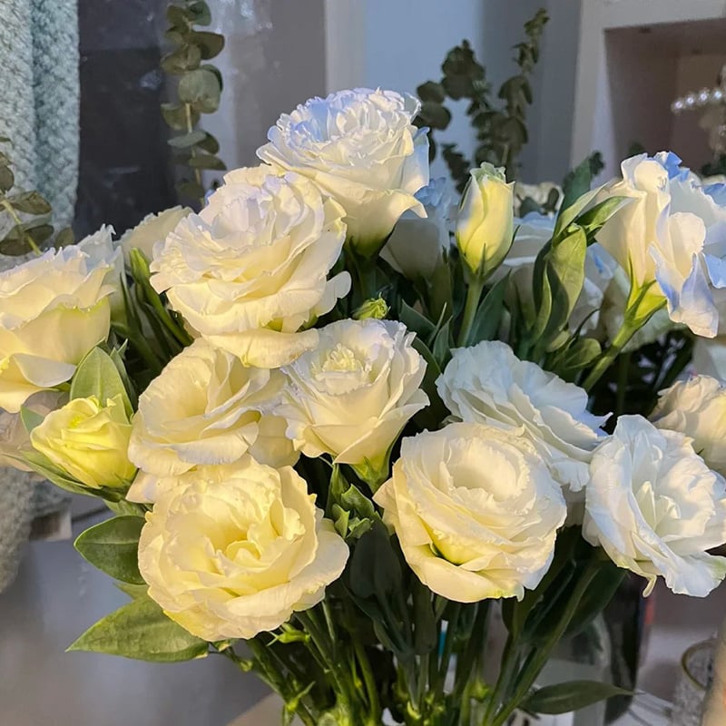 🔥Последен ден на продажба💝Eustoma Thornless Rose💐Семена от лизиантус