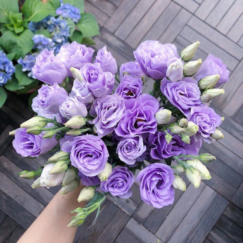 🔥Последен ден на продажба💝Eustoma Thornless Rose💐Семена от лизиантус