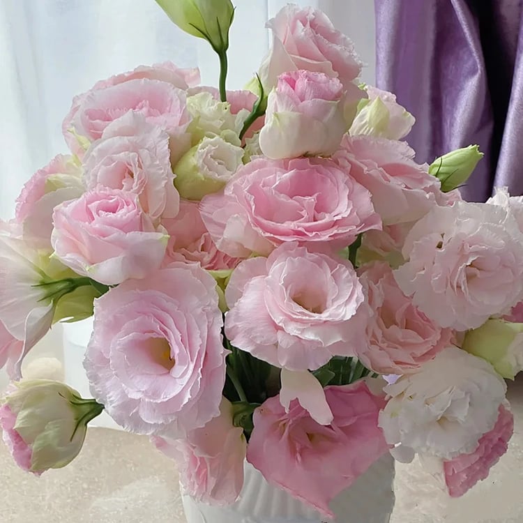🔥Последен ден на продажба💝Eustoma Thornless Rose💐Семена от лизиантус