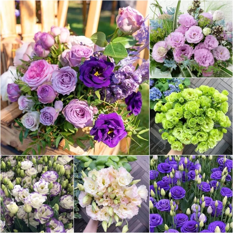 🔥Последен ден на продажба💝Eustoma Thornless Rose💐Семена от лизиантус
